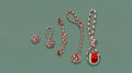 5 piece rope dog toy set