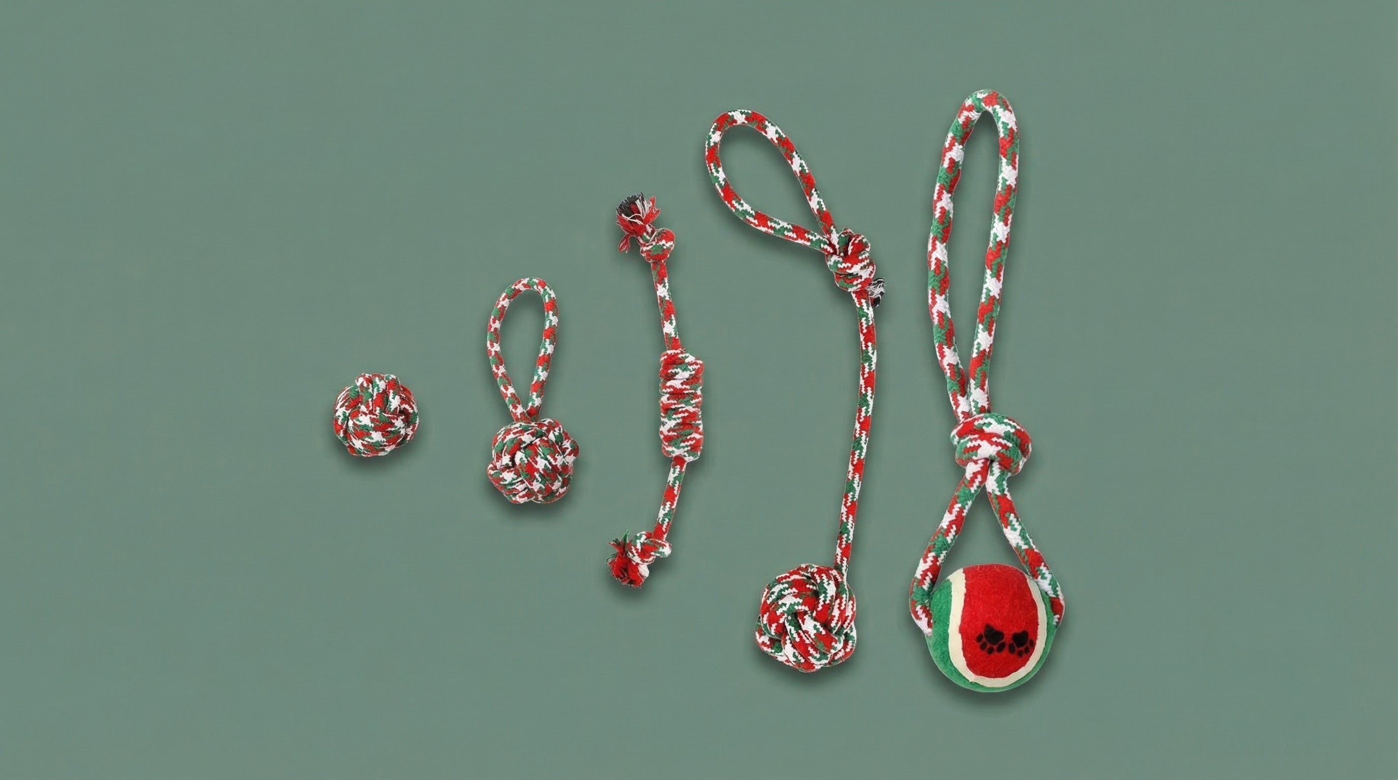 5 piece rope dog toy set