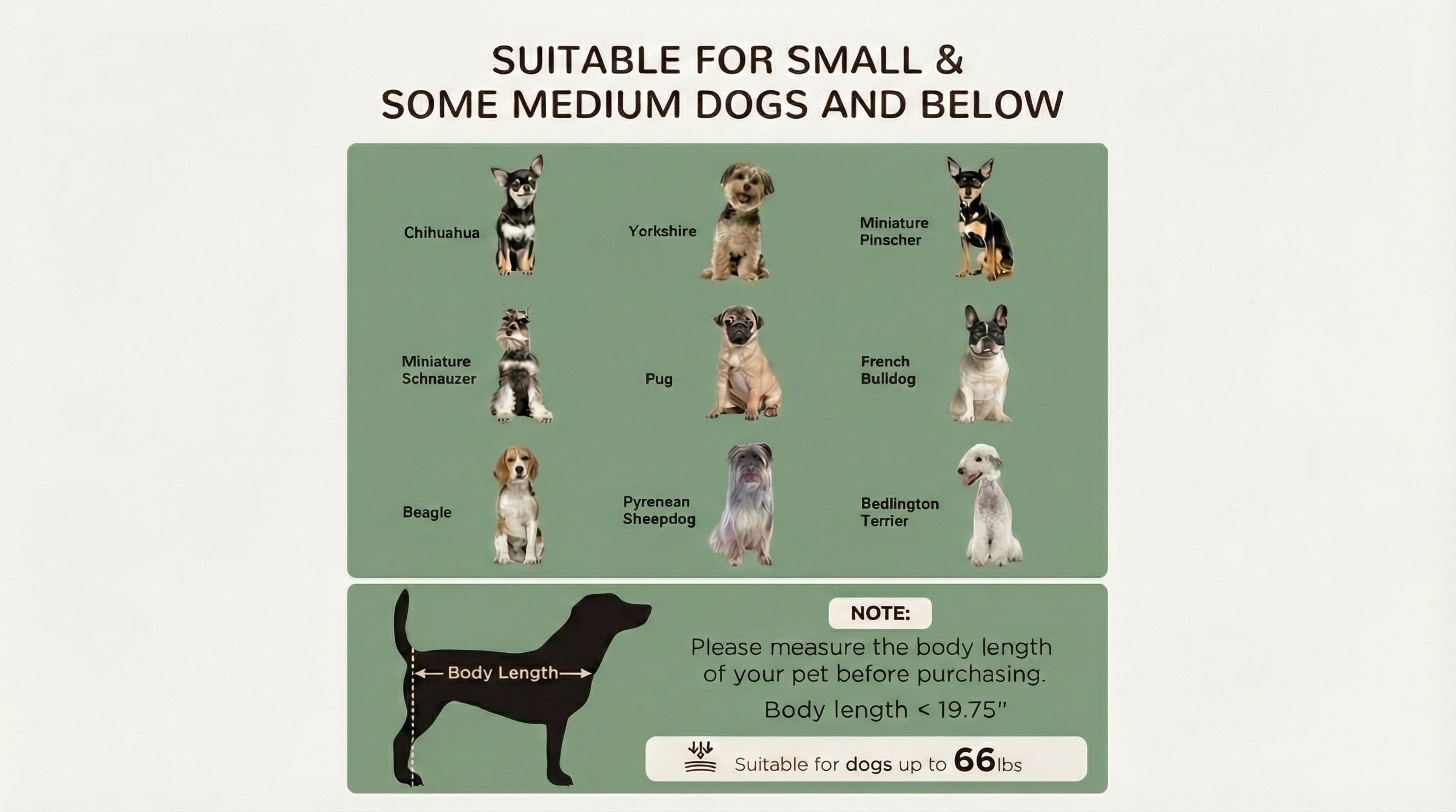 Dog Canopy: Elevated Lounger