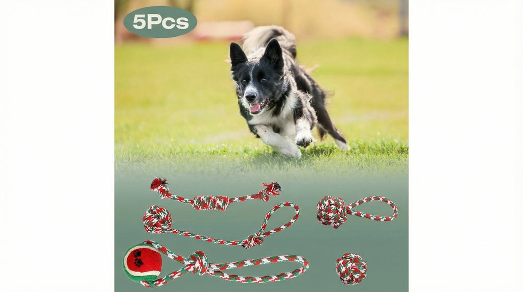5 piece rope dog toy set