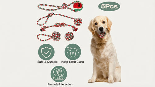 5 piece rope dog toy set