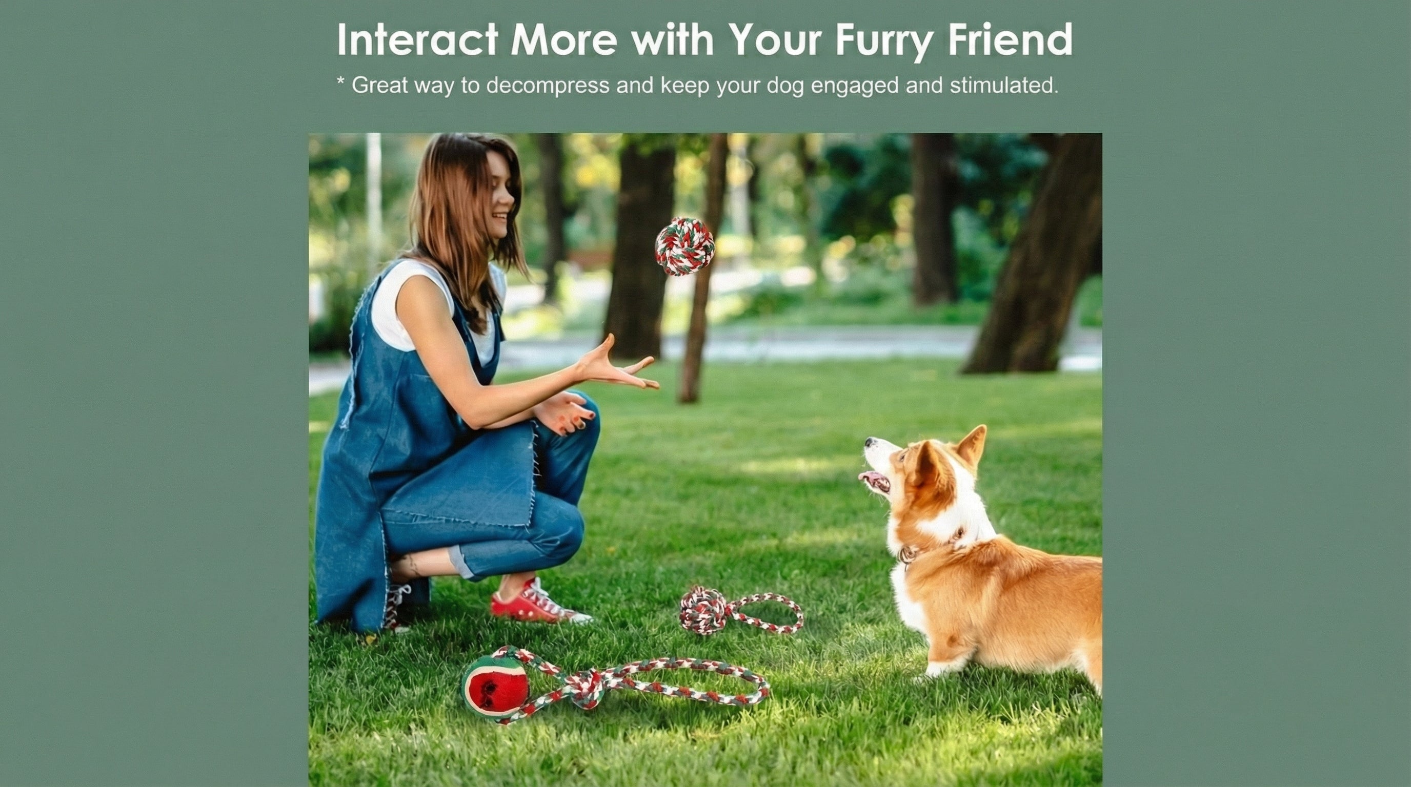 5 piece rope dog toy set