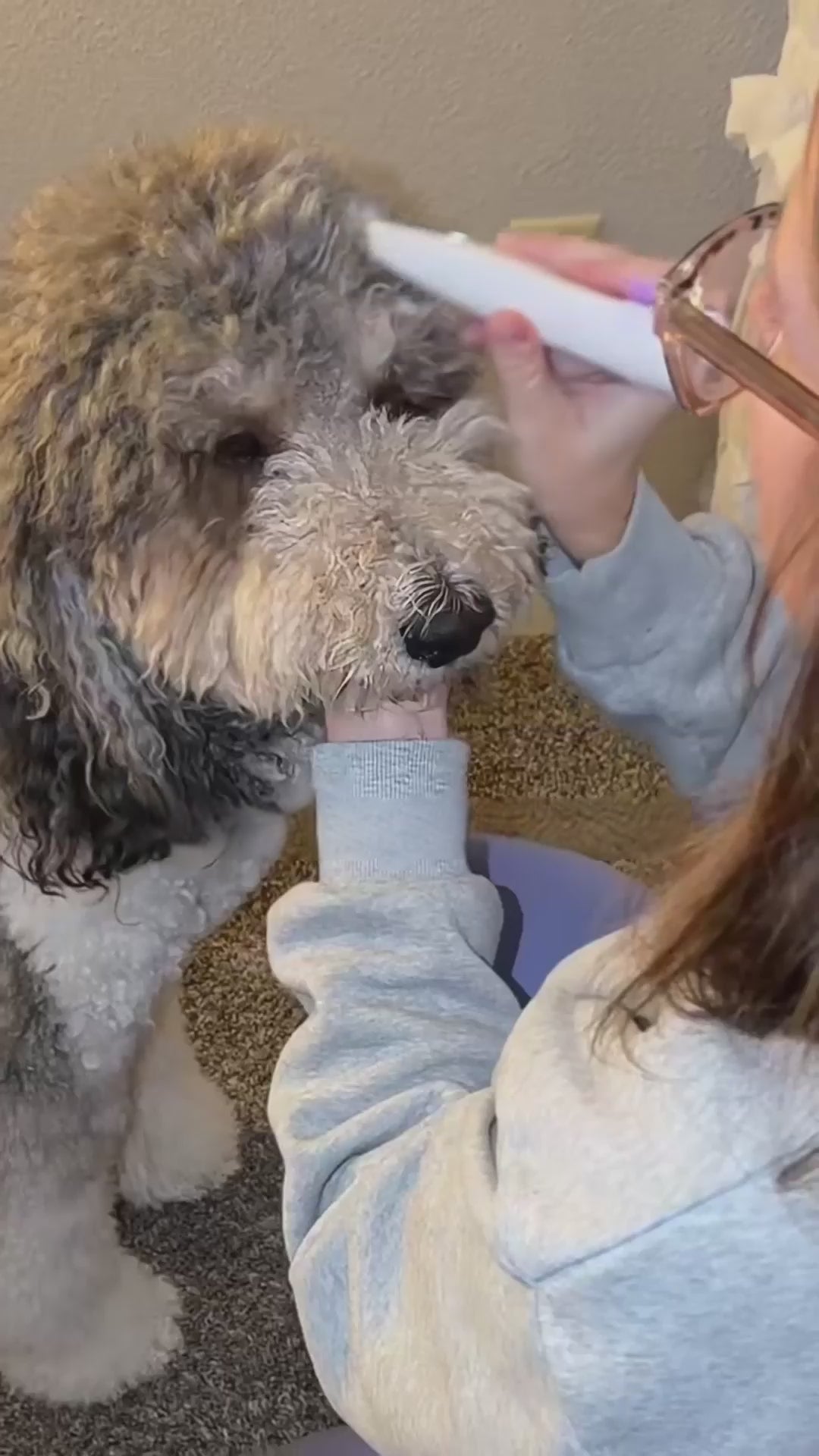 Ultra-Quiet Dog Trimmer