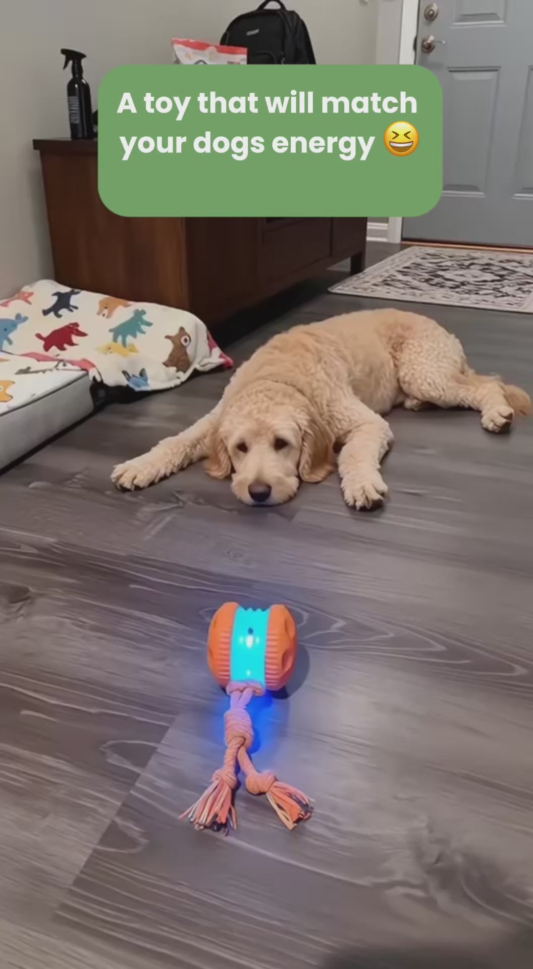 Self-Roll Dog Toy: Interactive Rechargeable Ball