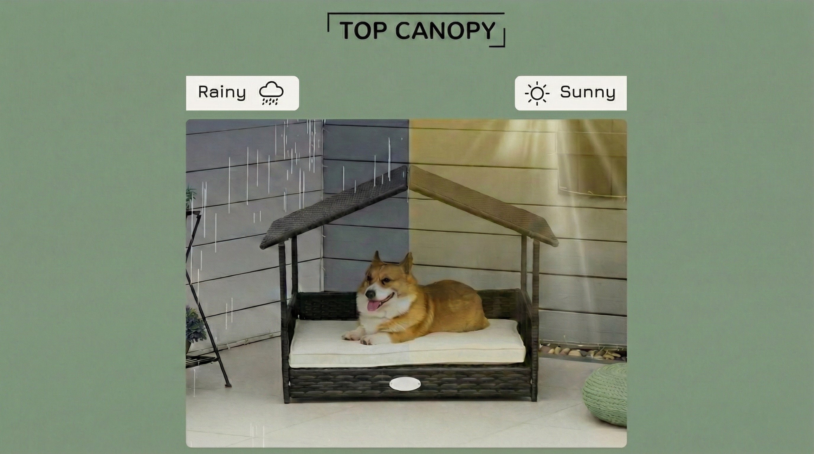 Dog Canopy: Elevated Lounger
