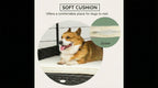 Dog Canopy: Elevated Lounger